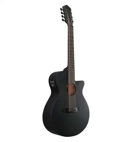 Ibanez AEG721-BOT