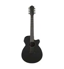Ibanez AEG721-BOT