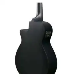 Ibanez AEG721-BOT