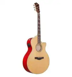 Ibanez AE170-NTR