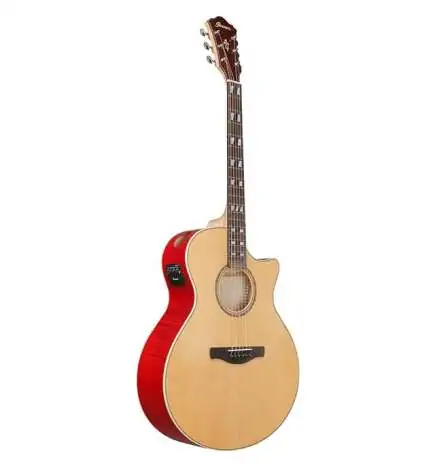 Ibanez AE170-NTR