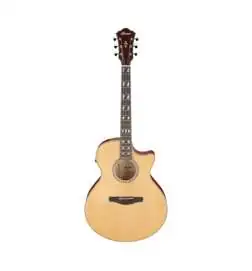 Ibanez AE170-NTR