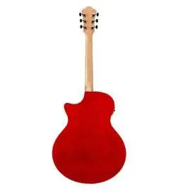 Ibanez AE170-NTR