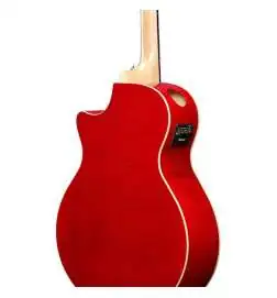 Ibanez AE170-NTR