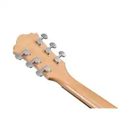 Ibanez AE170-NTR