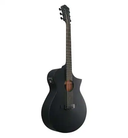 Ibanez AEWC621-BOT