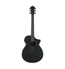 Ibanez AEWC621-BOT