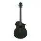 Ibanez AEWC621-BOT Ibanez AEWC621-BOT