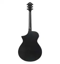 Ibanez AEWC621-BOT
