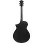 Ibanez AEWC621-BOT Ibanez AEWC621-BOT