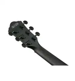 Ibanez AEWC621-BOT
