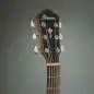 Ibanez AEG50 IBH
