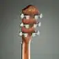 Ibanez AEG50 IBH