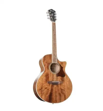 Ibanez AE Series AE245-NT Natural