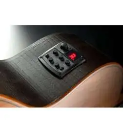 LAG Guitars Green Guitars Sauvage DCE