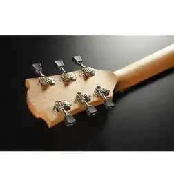 LAG Guitars Tramontane T70A-B B