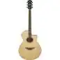 Yamaha APX 600 NT Yamaha APX 600 NT