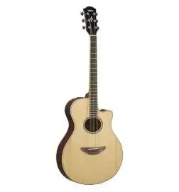 Yamaha APX 600 NT