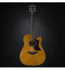 Yamaha A1M