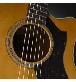 Yamaha A1M