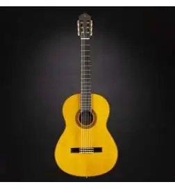 Yamaha CG-TA Transacoustic