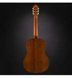 Yamaha CG-TA Transacoustic