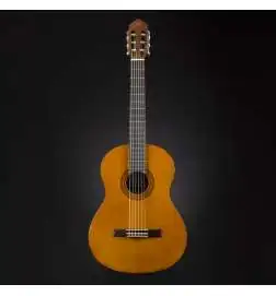 Yamaha C40 Standard Package
