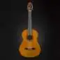 Yamaha C40 Standard Package