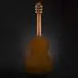 Yamaha C40 Standard Package