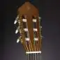 Yamaha C40 Standard Package