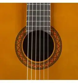 Yamaha C40 Standard Package