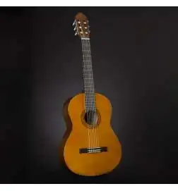 Yamaha C40 Standard Package