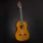 Yamaha C40 Standard Package