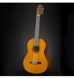 Yamaha C40 Standard Package