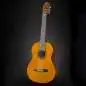 Yamaha C40 Standard Package