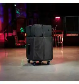 LD-Systems DAVE 15 G4X Bag Set