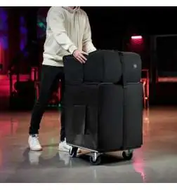 LD-Systems DAVE 15 G4X Bag Set