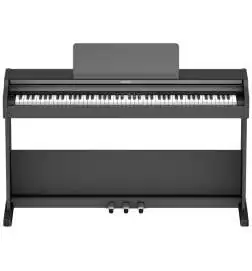 Roland RP107-BKX