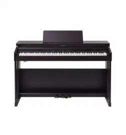 Roland RP701 DR