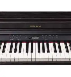 Roland RP701 DR
