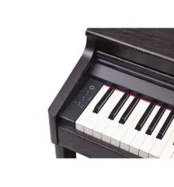 Roland RP701 DR