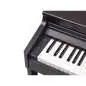 Roland RP701 DR