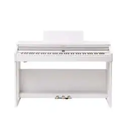 Roland RP701 WH