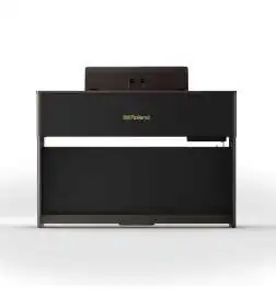 Roland HP704 DR