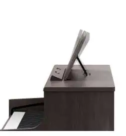 Roland HP704 DR