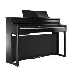 Roland HP704 PE