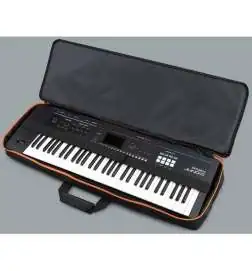 Roland CB-V61
