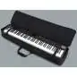 Roland CB-88S