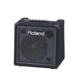 Roland KC-80 Amplificatore per tastiera