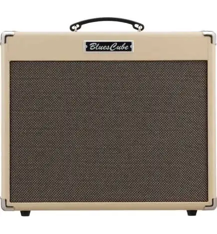 Roland blauwsCUBE Stage combo